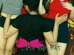 CATS_AND_BAT