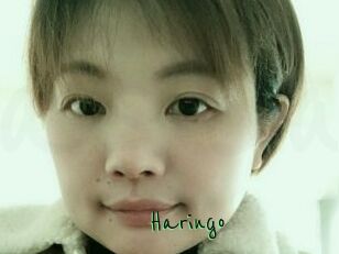 Haringo