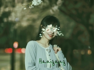 Hanigang