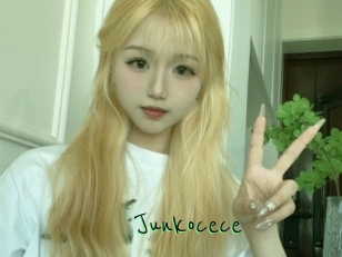 Junkocece