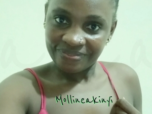 Mollineakinyi