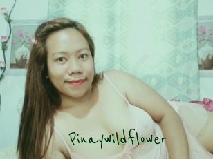 Pinaywildflower